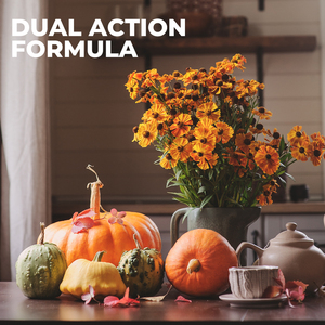 Cápsulas <span class=keywords><strong>de</strong></span> Aceite <span class=keywords><strong>de</strong></span> Semillas <span class=keywords><strong>de</strong></span> Calabaza Prensado en Frío OEM, Soporte Nutricional para Adultos, Esteroles Vegetales y Grasas Omega - Product Image 3