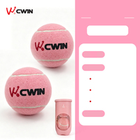 Camewin Camewin Pressuriseur de balles de padel et de tennis de plage professionnel avec élastique pour raquette, OEM