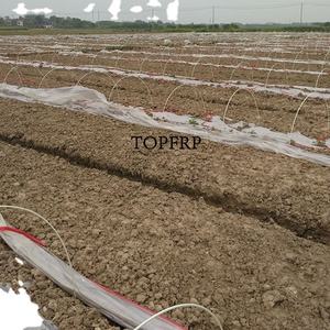 Varilla/estacas/Palos flexibles de fibra de vidrio para invernadero para estacas de plantas - Product Image 6