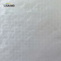 Bâche transparente pour vergers, couverture de cerises en HDPE + UV de 2x12m, bâche pour vergers du japon