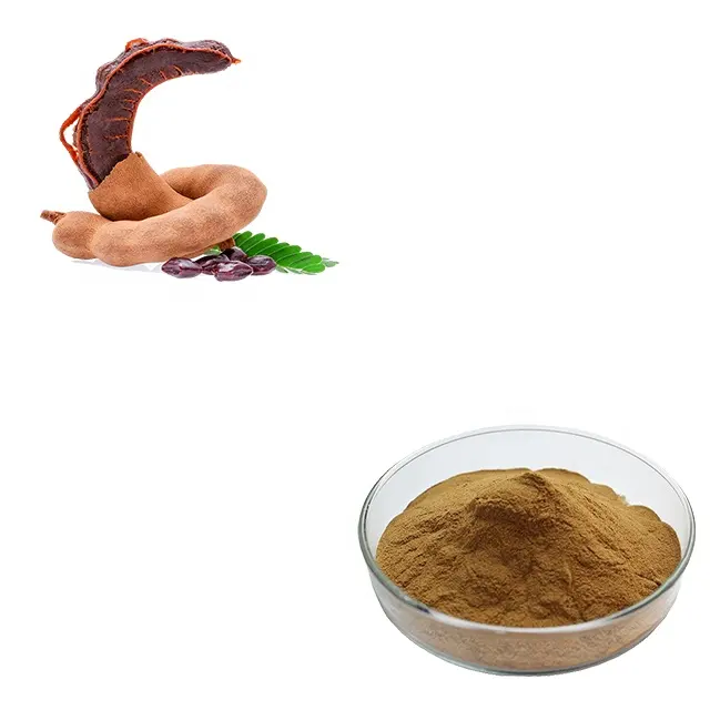 HONGDA Factory Supply Tamarind Seed Extract Powder