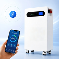 Batterie de secours solaire domestique tout-en-un intelligente 51,2 V 314 Ah 16 kWh LiFePO4 empilable avec interaction LED et surveillance BMS intelligente