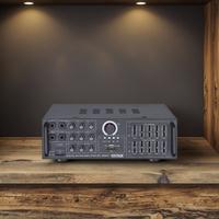 Penguat Audio penjualan terbaik penguat Mini Hifi Equalizer Stereo 2 saluran 20 watt untuk rumah