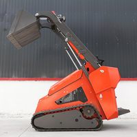 Mini-chargeuse sur chenilles professionnelle avec boîte de vitesses, moteur diesel, capacité de 430 kg, pour l'aménagement paysager et l'utilisation en jardinage, livraison gratuite