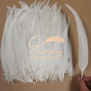 Plumas de gallo súper blancas al por mayor de 12-14 pulgadas para atado de moscas, tocados, carnaval, mochilas y decoraciones - Product Image 2