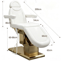 Lit de massage électrique de luxe doré pour salon de beauté, mobilier de salon moderne sur mesure, table de massage, chaise de soin du visage, lit de spa pour esthétique