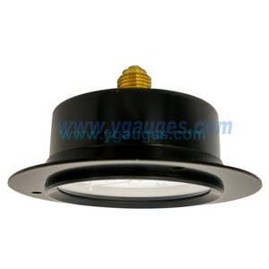 वापस कनेक्शन Bourdon ट्यूब गैस दबाव नापने का यंत्र के साथ सामने निकला हुआ किनारा - Product Image 3