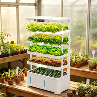 Les fabricants fournissent des systèmes hydroponiques intelligents d'intérieur, des jardinières pour légumes, des systèmes de culture hydroponique complets.