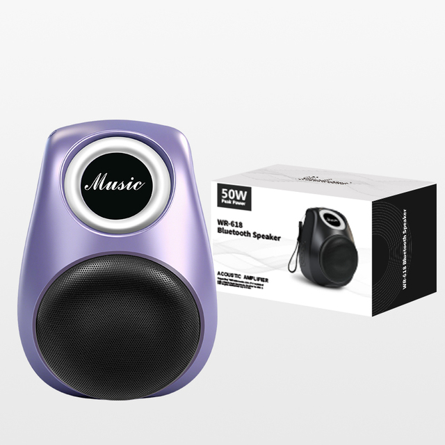 Factory Direct & Hot Sale WR-618 Wireless Portable Speaker Supporting Multiple Devices Connection Like Phone TV and Game Console