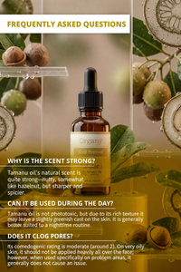 Aceite Portador de Tamanu (Calophyllum inophyllum) Prensado en Frío, Suministro de Fábrica al por Mayor para Cuidado de la Piel, Cabello, Masajes y Cosméticos - Product Image 6