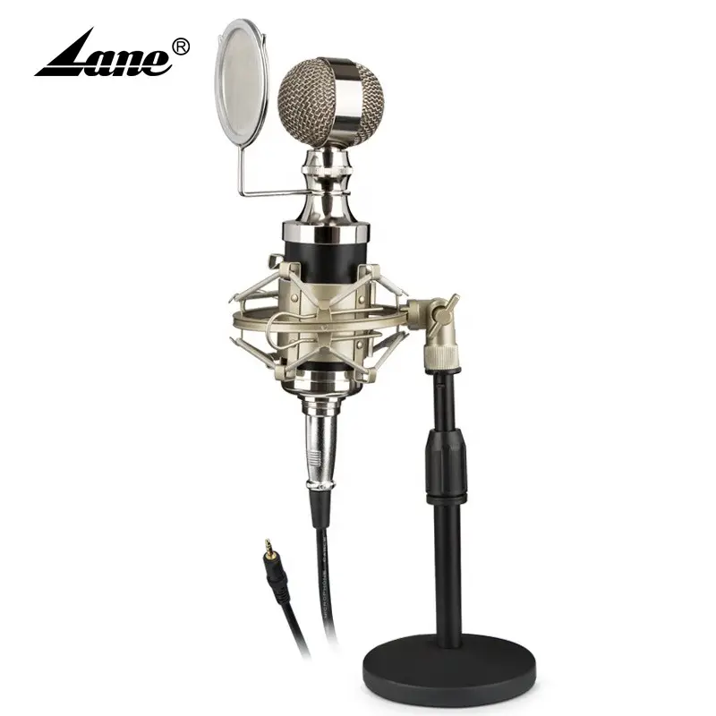 Lane Professional studio microphone wired microphone karaoke professional wired condenser microphone bm-800xx
