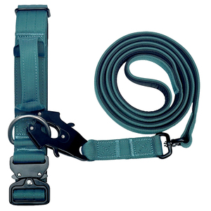 Ensemble de collier et laisse de luxe pour animaux de compagnie, accessoires robustes en acier inoxydable avec anneau en D, pour chiens de berger, labrador et grands chiens - Product Image 1