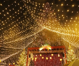 20M 30M 50m 220V dẫn chuỗi Lights cho bên ngoài trời trang trí nhiều màu sắc không thấm nước đèn giáng sinh cho ngày lễ - Product Image 4