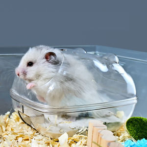 Cage de bain pour hamster en plastique transparent avec maisonnette jouet - Accessoire portable de haute qualité pour petits animaux pour hamsters - Product Image 1