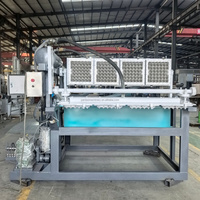 Máquina Automática para Fabricar Bandejas de Huevos de Pulpa de Papel, 1500 Piezas/h, Precio al por Mayor, Ideas para Pequeños Negocios 2026