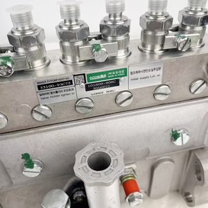 Hogedruk mechanische brandstofinjectiepomp-assemblage 101609-906C 506A0010 voor dieselinjectiepomp 33100-93C75 voor R220-9 - Product Image 6