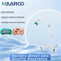 Appareil de blanchiment dentaire à domicile à diodes LED 10 perles - Lampe de sol à lumière froide 460nm - Machine dentaire à éclaircissement intensif