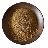 Poudre de Hojicha Yibenef Marque Privée, Thé Vert Torréfié Faible en Caféine Grade AAA pour Latte et Desserts, OEM