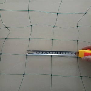 ตาข่ายปลูกแตงกวา PE ตาข่ายสำหรับพืชเลื้อยสำหรับพืชผักและพืชสวน - Product Image 4