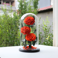Yopin-1175 décoration fleur Rose éternelle fleurs naturelles conservées Roses dans un dôme en verre