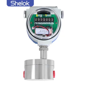 Shelok Hoge Viscositeit Micro Motion Cirkelvormige Versnelling Flow Meter Kunststof Ovale Tandwielen Flow Meter Voor Brandstof Dieselolie