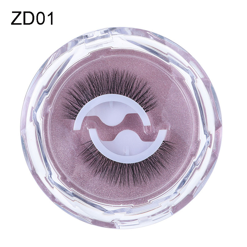 ZD01