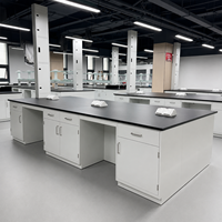Îlot de laboratoire sur mesure tout acier avec colonne de service, évier, station de lavage des yeux et support à réactifs