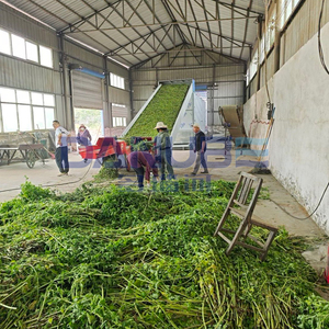 Séchoir professionnel à bande maillée pour feuilles de menthe poivrée, ligne de nettoyage et de séchage des feuilles de menthe poivrée - Product Image 3
