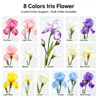 Rangkaian Bunga Iris Sutra Tangkai Tunggal Multiwarna Realistis Sentuhan Nyata untuk Dekorasi Rumah, Vas, dan Centerpiece Acara Pesta Pernikahan