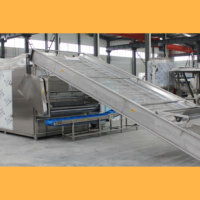 Volautomatische Industriële Verse Groenten En Fruit Gedroogd Fruit Mango Rozijn Wassen Drogen Machine Fruit Lijn
