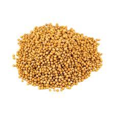 Semillas de mostaza amarillas y negras secas de alta calidad, granos crudos naturales, alimentos saludables, semillas de mostaza para agricultura y consumo - Product Image 2