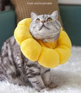 Venta caliente ajustable Sun Flower Elizabeth Circle E-<span class=keywords><strong>Collar</strong></span> para gatos Anti-Scratch Anti-Licking <span class=keywords><strong>Collar</strong></span> protector Recuperación - Product Image 4