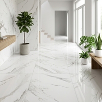Carreaux de sol en porcelaine imitation marbre blanc de Carrare, 60x60cm, 600x600x9mm, antibactériens, résistants à l'usure, échantillon gratuit