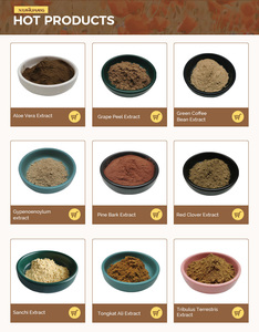 Горячая Распродажа натуральный экстракт шисандрина 1% <span class=keywords><strong>Schisandra</strong></span> Chinensis - Product Image 6