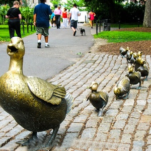 Life Size Bronze <strong>Garden</strong> <strong>Ducks</strong> With Baby <strong>Duck</strong> Statues - Product Image 2