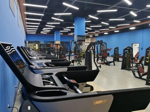 Appareil de musculation professionnel robuste avec affichage LED et commande par bouton pour entraînement cardio à domicile - Product Image 3