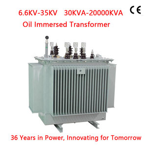 Transformador de Potencia de Fábrica Directo, Fabricante con 35 Años de Experiencia, MV/HV 50kVA 100kVA 315kVA 200kVA 500kVA 630kVA 1000kVA - Product Image 2