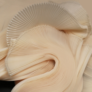 Tela de Organza Plisada Blanca con Arrugas Pequeñas, Nueva de <span class=keywords><strong>2026</strong></span>, Rígida, de Forma Ancha, para Decoración de Escenarios, Vestidos de Moda Hechos a Mano, Tela de Diseñador - Product Image 4