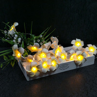 Lampu LED Plumeria HD888 Baru, Lampu Hias Bunga Baterai, Lampu Peri untuk Dekorasi Kamar Tidur & Liburan, Ornamen Bergaya Imut untuk Wanita