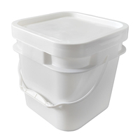Récipient professionnel de miel de qualité alimentaire seau à lait de 5 gallons 10 litres carré petit emballage de crème glacée seaux IML avec poignée