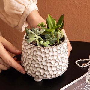 Maceta Rústica de Cerámica Esmaltada de 4 Pulgadas con Orificio de Drenaje, Duradera y Ecológica para Suculentas y Cactus, Estilo Rústico para Interiores/Exteriores - Product Image 3