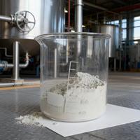 Chaux hydratée ultra-fine de haute pureté avec une forte adhérence et une résistance aux intempéries pour la construction, le mortier, le plâtre mural