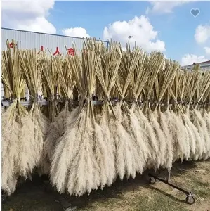 Decoración <span class=keywords><strong>de</strong></span> Hierba Seca al por Mayor, Flores Secas para Decoración <span class=keywords><strong>de</strong></span> Bodas, Accesorios para Fotografía, Hierba Grande - Product Image 2