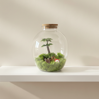 Vase en verre au design unique, terrarium de table en verre avec couvercle en liège pour la décoration intérieure et l'exposition de plantes aériennes