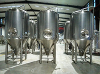 Cuve de Fermentation Multifonctionnelle à Double Enveloppe, Volume Personnalisé, en Acier Inoxydable pour Bière, Cidre et Vin de Fruits