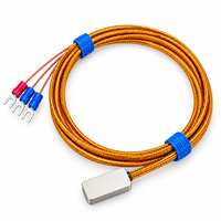 Sonde de température magnétique à montage en surface Pt100, tête de détection de température à adsorption par contact frontal, indice de protection IP65, résolution 0,5°C