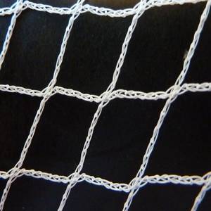 2 m x 100 m malla contra aves fruta jardín vegetal protección anti Bird Red de la niebla - Product Image 2