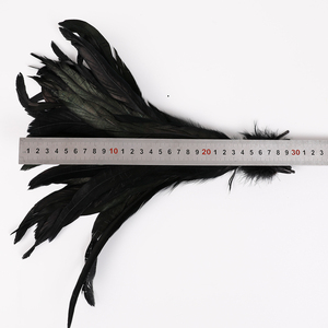 Plumas <span class=keywords><strong>de</strong></span> Gallo Teñidas Suaves <span class=keywords><strong>de</strong></span> 30-35 cm para Disfraces <span class=keywords><strong>de</strong></span> <span class=keywords><strong>Carnaval</strong></span>, Accesorios para Hacer Alas, Desfiles <span class=keywords><strong>de</strong></span> Moda y Fiestas - Product Image 6