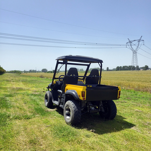 2024 nouveau 10KW côte à côte 2 places hors route véhicule utilitaire <span class=keywords><strong>ferme</strong></span> 4X4 électrique UTV pour adultes - Product Image 5