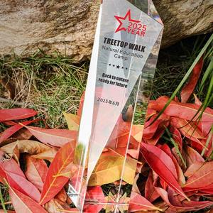 Trofeo de Diseño de Cristal de Hielo de Lujo 2026 |   Medalla de Premio de Liderazgo para Cena de Gala Corporativa con Grabado Personalizado - Product Image 1